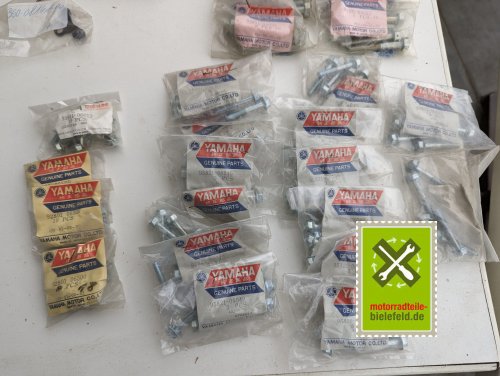 PXL_20240527_155040979